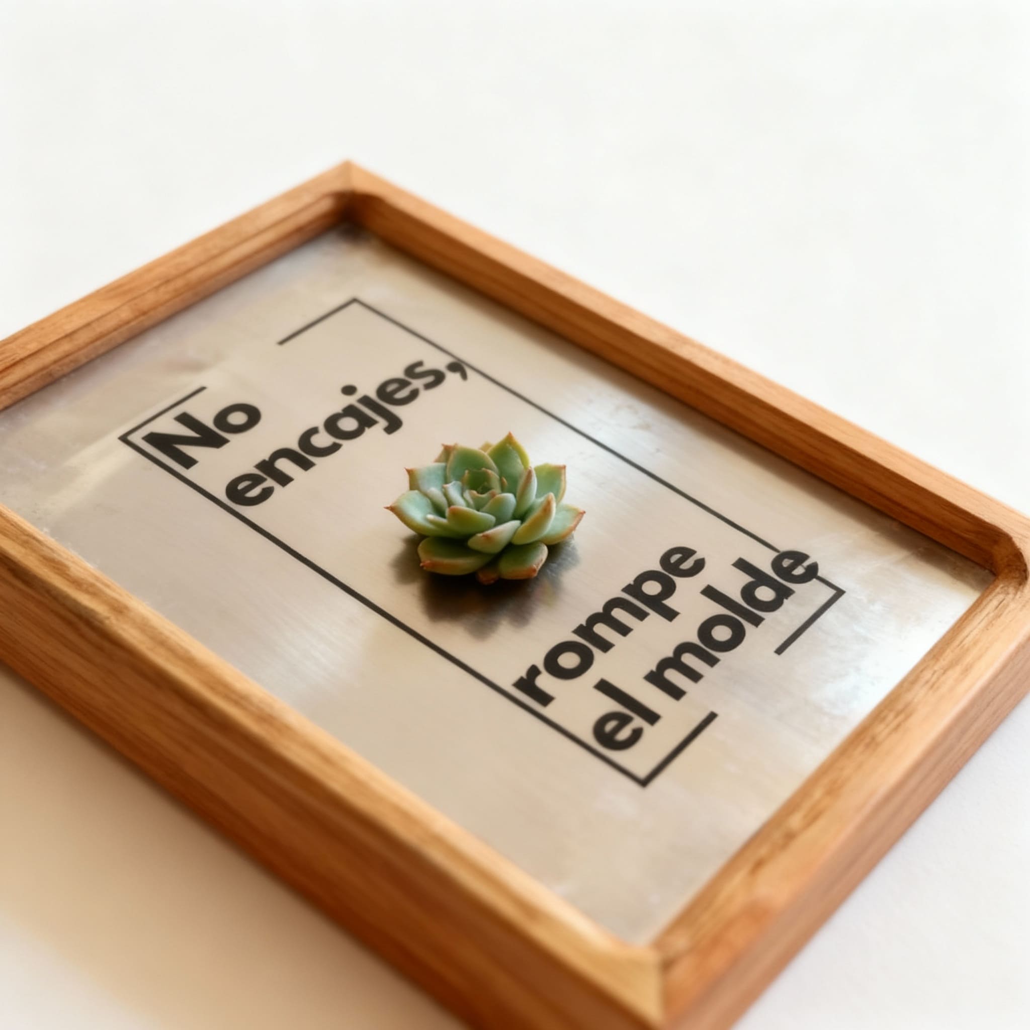 Cuadro vivo habitarte.